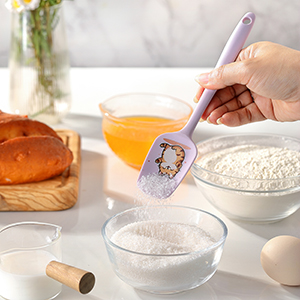 Rubber Spatula Set