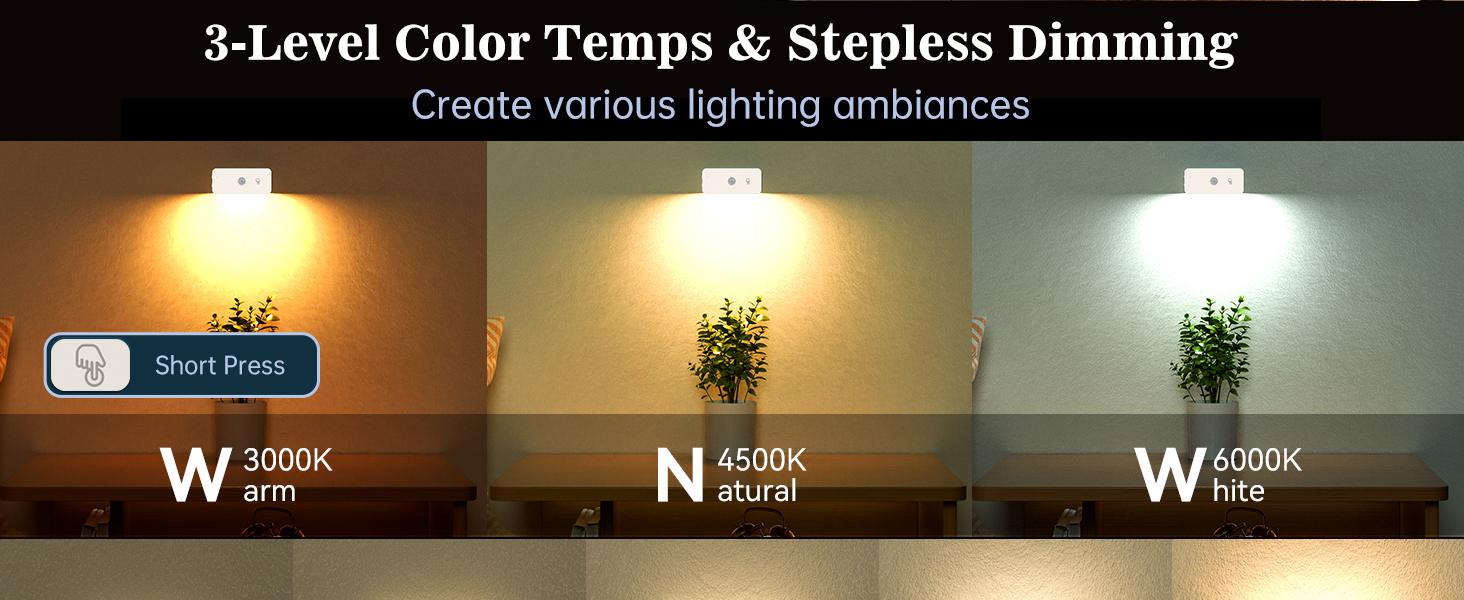 Wall Light