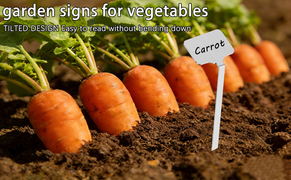 garden signs for vegetables