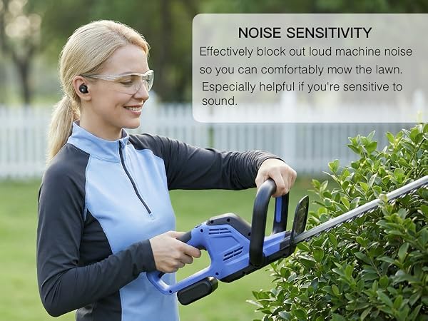 NOISE SENSITIVITY