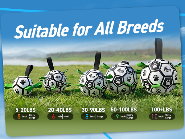 different size balls