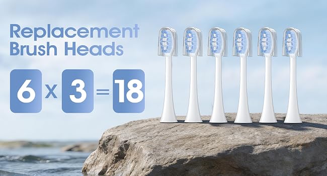 6 replacement brush heads