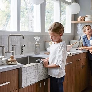 sink cleaner, kitchen cleaner, stainless steel, stainless cleaner, kohler cleaner, drain cleaner