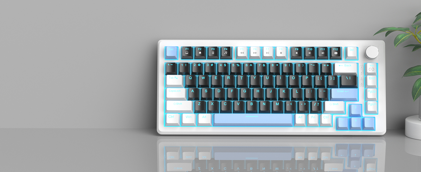 Vibrant Ice Blue Backlit