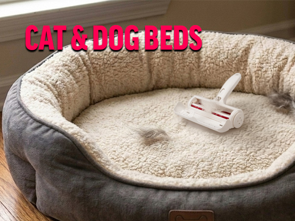 Cat & Dog Beds