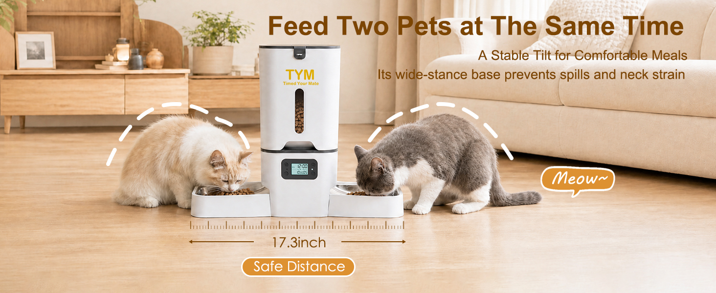 auto cat feeder