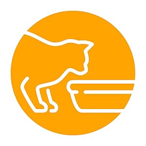Arm & Hammer, Cats, Health, Chew, Kitten, Fresh, Cat Litter