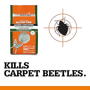 kills carpet beetles