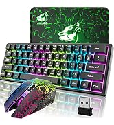 60% Mechanical Gaming Keyboard Mini 68 Keys Anti-Ghosting Wired Type C Chroma RGB 18 Backlit Effe...