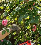 Cordless Electric Pruning Shear