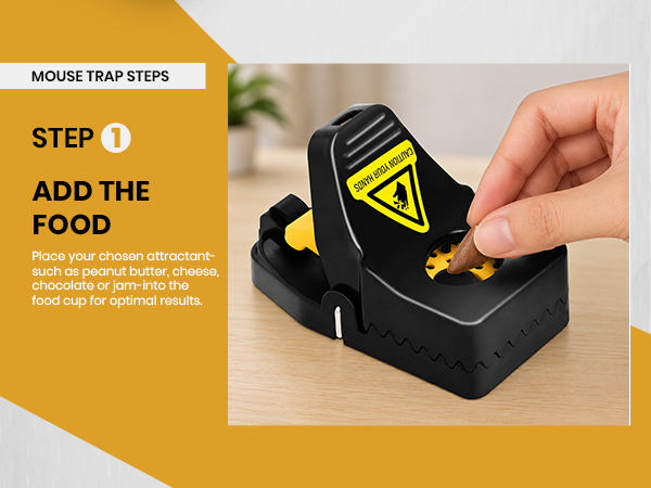 Mouse Traps