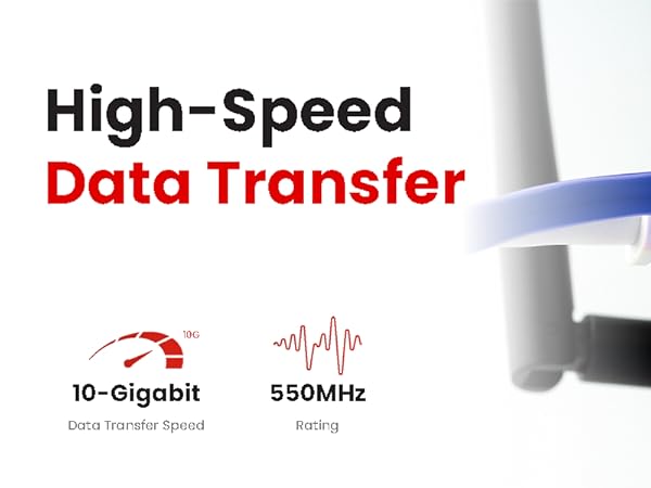 Internet Cable 100ft