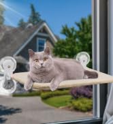 cat window hammock