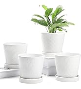 BUYMAX Plant Pots Indoor –5 inch Ceramic Flower Pot with Drainage Hole and Ceramic Tray - Gardeni...