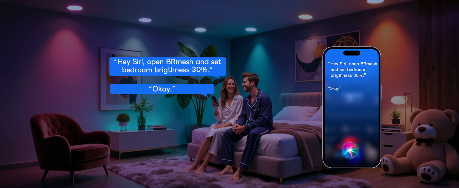 smart downlight voice control