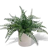 Coferset Small Fake Plant 12.5" Fern Potted Artificial Plants for Shelf Home Bathroom Office Deco...