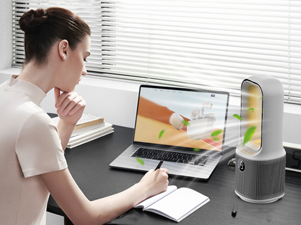 desk fan