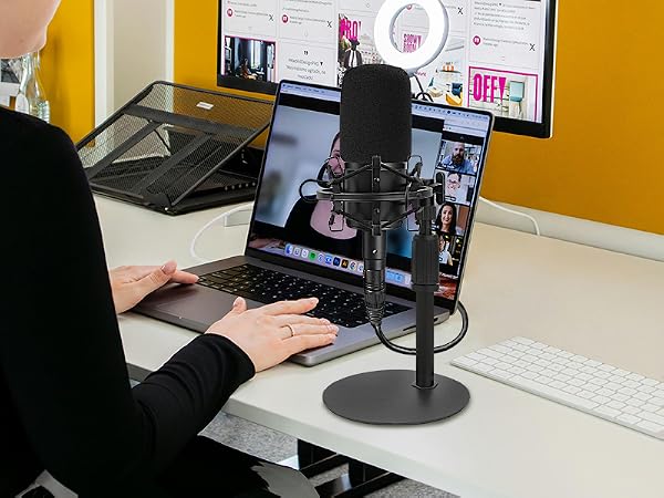 Audio Technica AT2020 Mic Stand