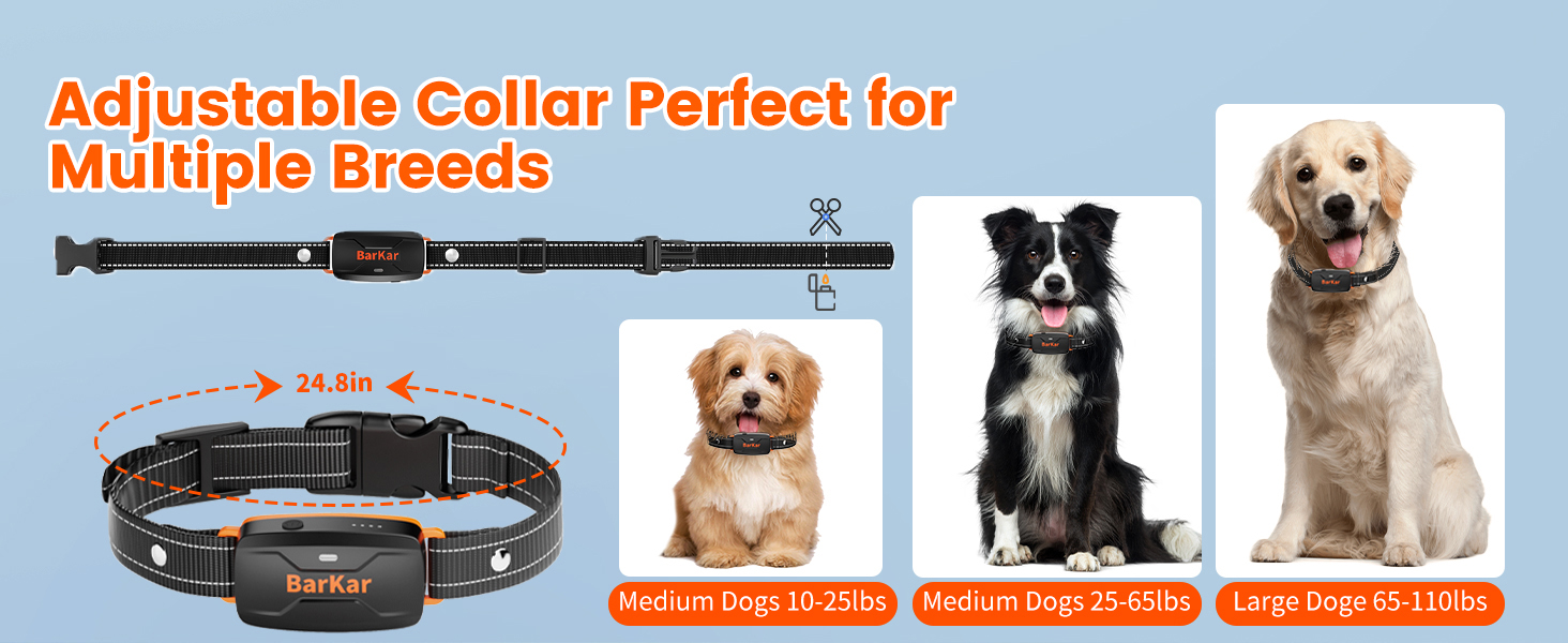 Collar for Dogs