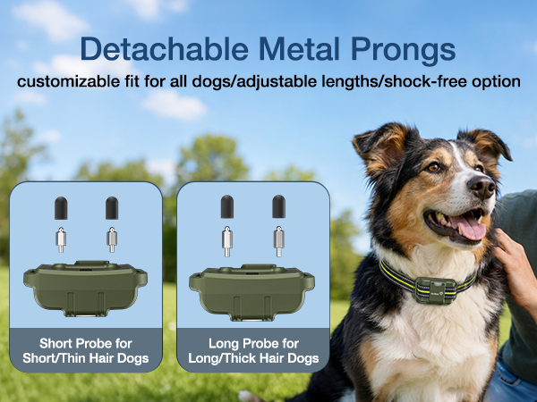 DeeWaves dog training collar with remote ,e collar for dogs training,shock collar for large dog