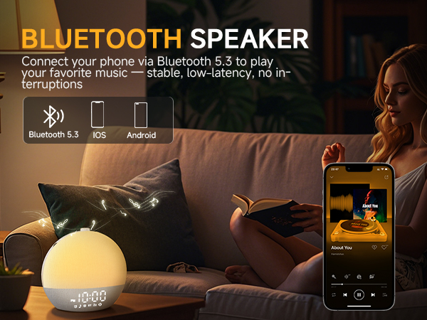 BLUETOOTH SPEAKER