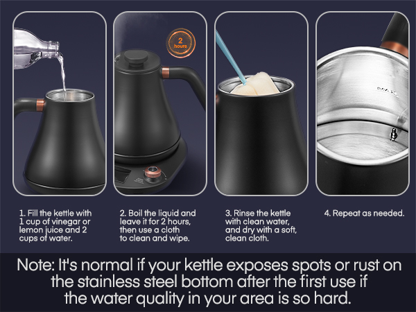 Electric Gooseneck Kettle Temperature Control