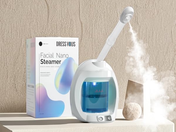 face steamer