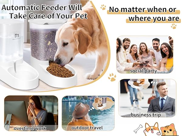 dog feeder