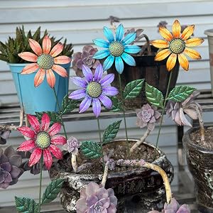 Garden Decor For Outside