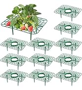 Iceyyyy 12 Packs Square Strawberry Supports-Strawberry Growing Racks- Plant Support Strawberry St...