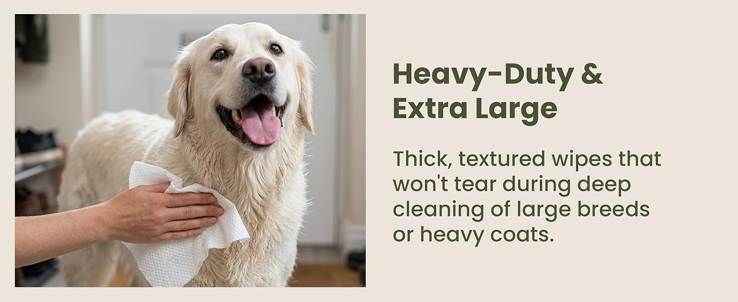 Heavy Duty