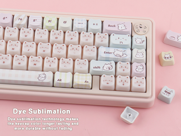 Dye Sublimation