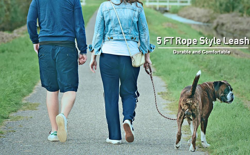 dog leash