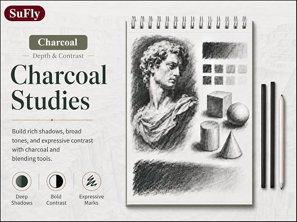 SuFly sketchbook showing a charcoal portrait, value blocks, geometric, shadows and blending tools.