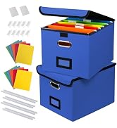 DECOSIS 2Pack File Storage Organizer with 10 Hanging Folders & Plastic Slide, Collapsible Linen F...
