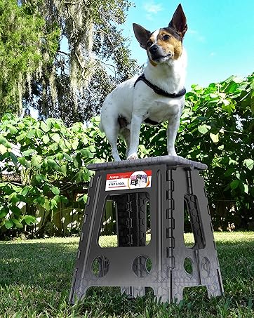 https://m.media-amazon.com/images/S/aplus-media-library-service-media/0dbb9504-e500-49e5-8c49-950b59813c78.__CR3,0,1810,2265_PT0_SX362_V1___.jpg