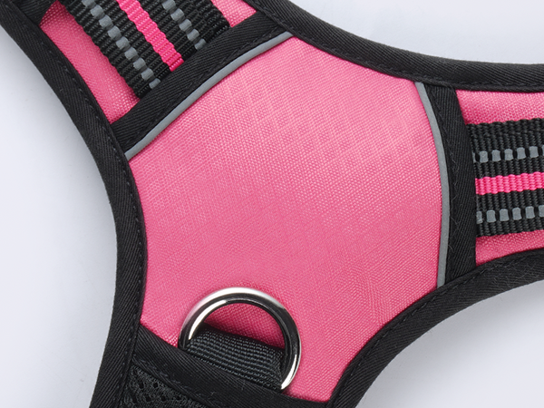 dog harness