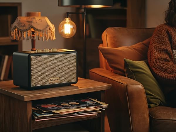 bluetooth speaker for living room