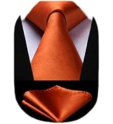 HISDERN Mens Solid Color Ties Formal Satin Necktie and Pocket Square Set Classic Wedding Business...