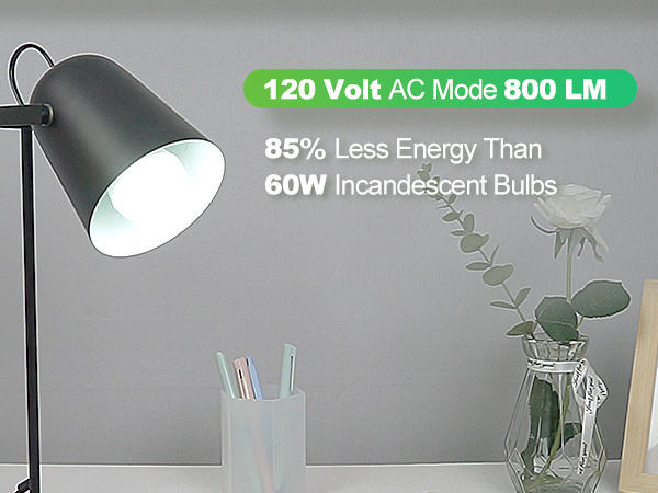 Rechargeable Light Bulb