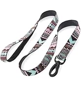 Embark Adventure Dog Leashes - Colorful, Strong and Sturdy Dog Leash for Small, Medium and Large ...