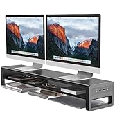 2 Tiers Dual Monitor Stand with 4 USB 3.0 Hub Ports, Double Monitor Riser, Metal Desk Stand with ...
