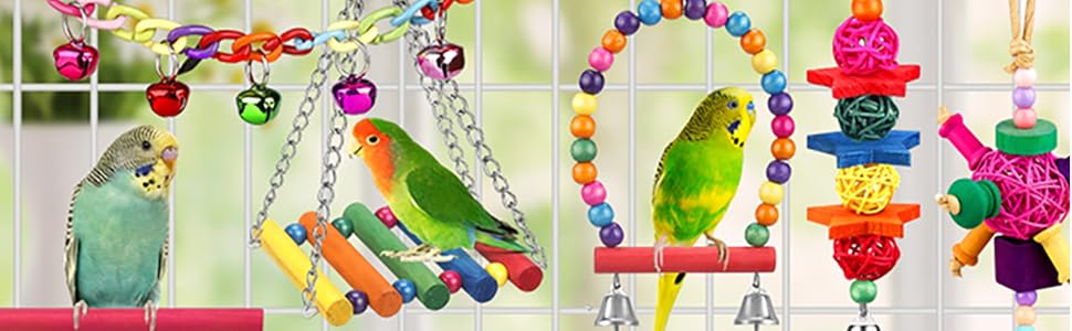 parrot toy