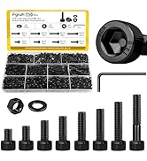 Fgruh 750PCS M3 Screws Assortment Kit, M3x6/8/10/12/16/20/25/30 mm Hex Socket Head Bolts, Nuts & ...