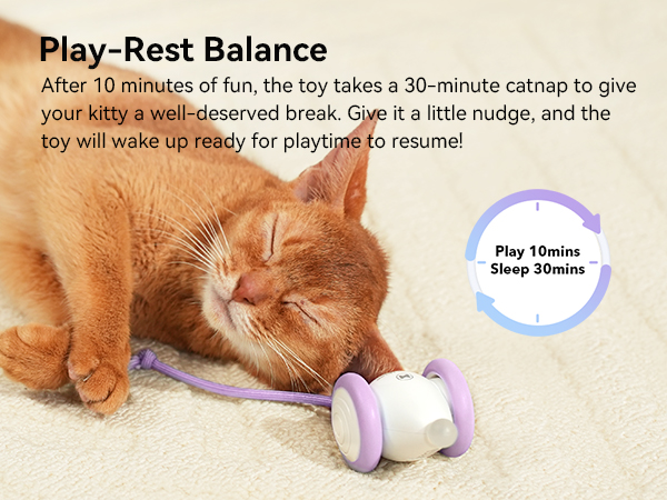 cat toys that move on their own
