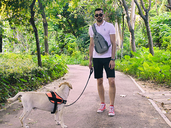 sling bag dog walking