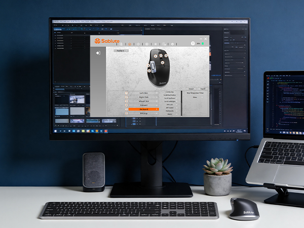wireless ergonomic mouse