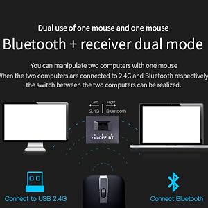 Dual connection model mouse