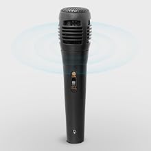 MIC
