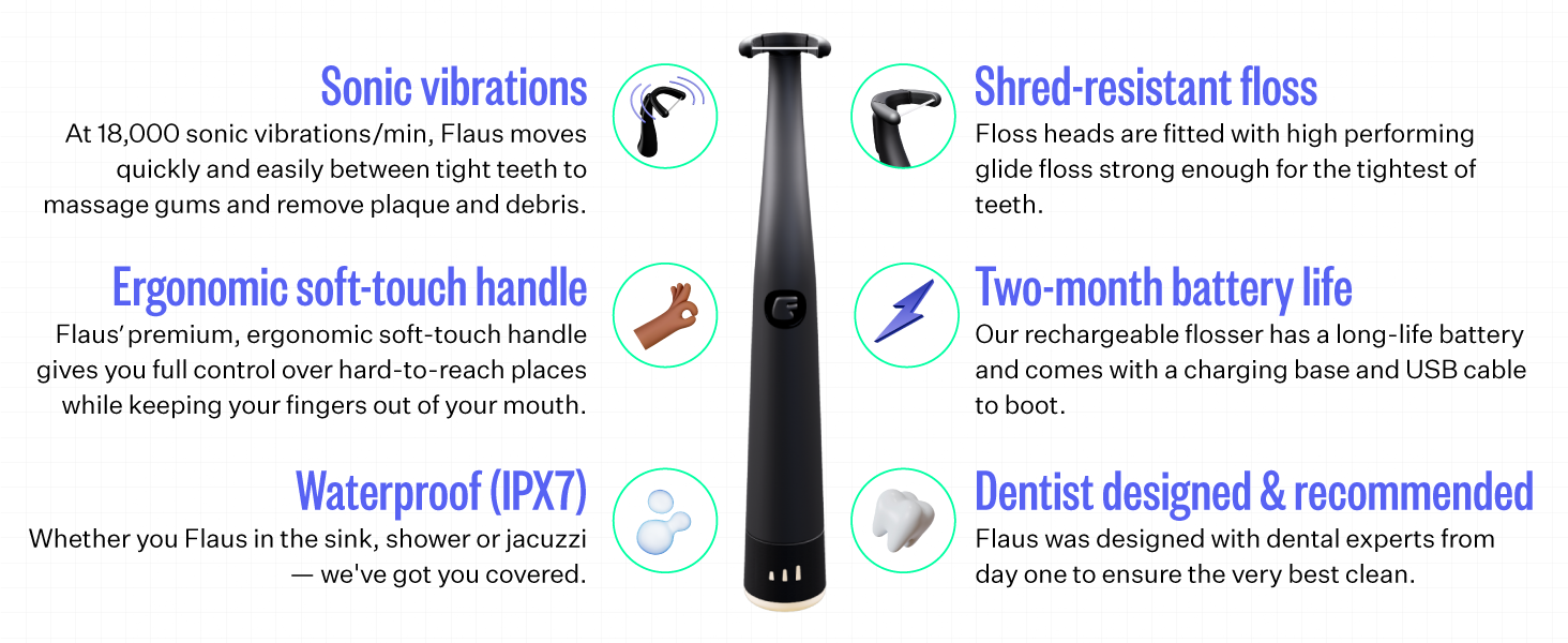 Flaus Starter Kit Electric Flosser